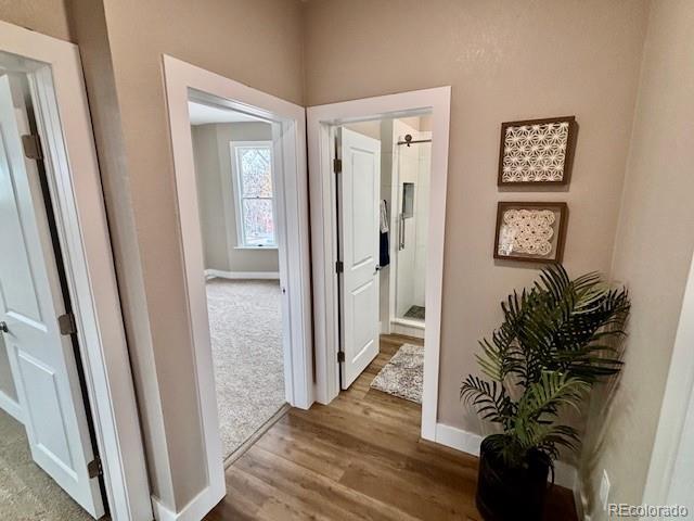 2631 W 34th Ave, Denver, CO 80211 - photo 18