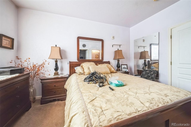 bedroom featuring carpet flooring