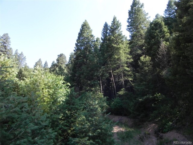 13175 Spruce Creek Cir, Larkspur, CO 80118