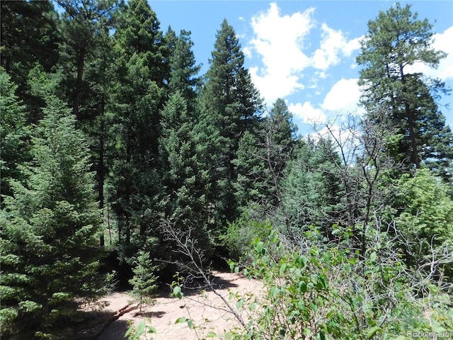 13175 Spruce Creek Cir, Larkspur, CO 80118