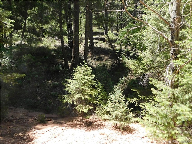 13175 Spruce Creek Cir, Larkspur, CO 80118
