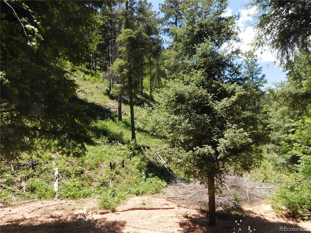 13175 Spruce Creek Cir, Larkspur, CO 80118