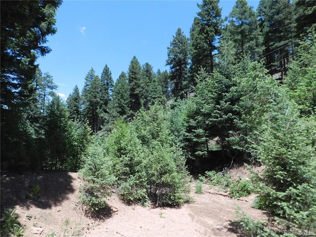 13175 Spruce Creek Cir, Larkspur, CO 80118