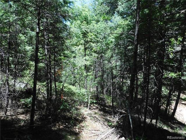 13175 Spruce Creek Cir, Larkspur, CO 80118