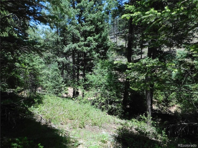 13175 Spruce Creek Cir, Larkspur, CO 80118