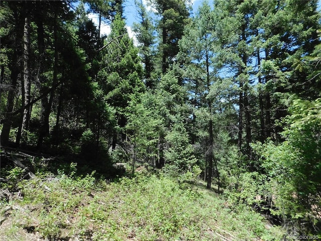 13175 Spruce Creek Cir, Larkspur, CO 80118