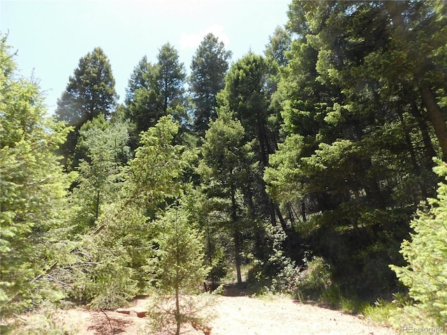 13175 Spruce Creek Cir, Larkspur, CO 80118
