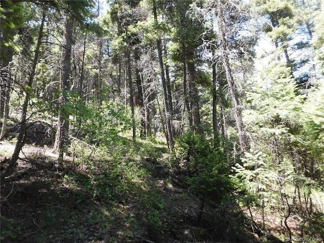 13175 Spruce Creek Cir, Larkspur, CO 80118