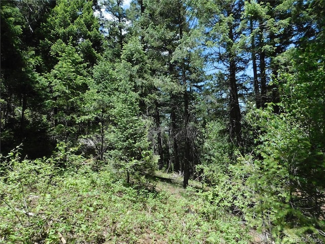 13175 Spruce Creek Cir, Larkspur, CO 80118