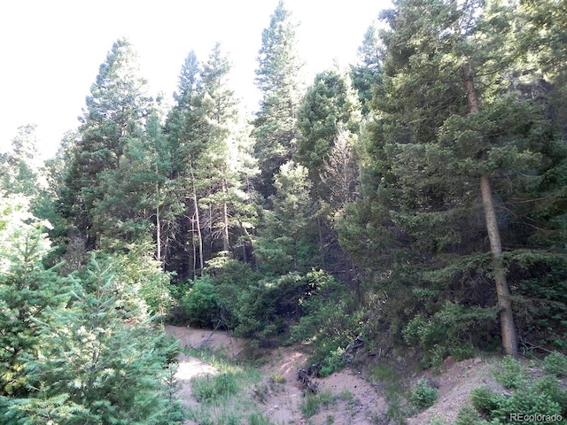 13175 Spruce Creek Cir, Larkspur, CO 80118