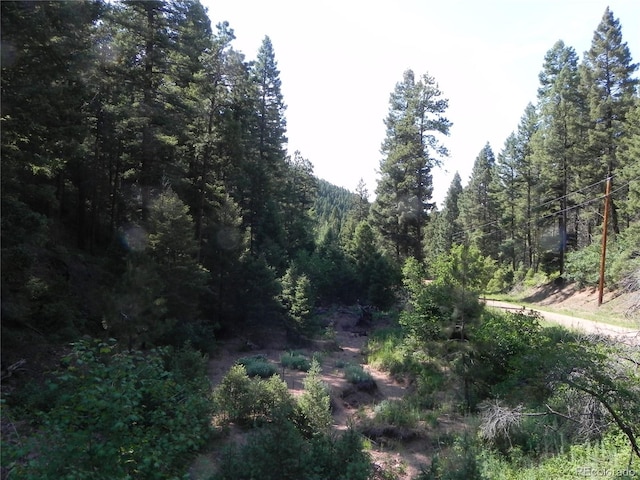 13175 Spruce Creek Cir, Larkspur, CO 80118