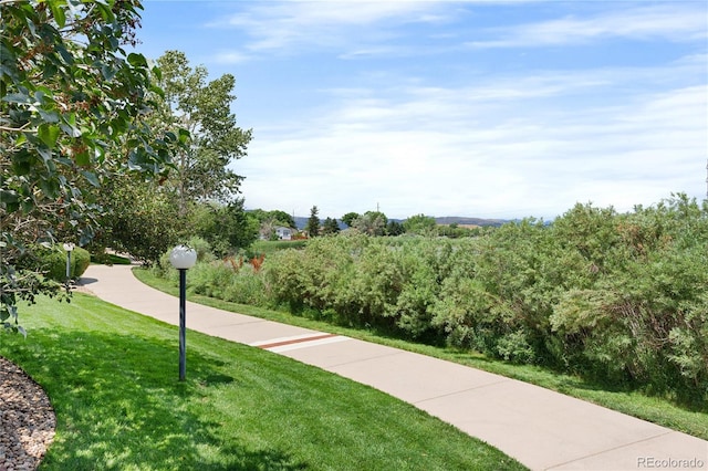 4385 S Balsam St Unit 5-104, Littleton, CO 80123 - view of community featuring a yard