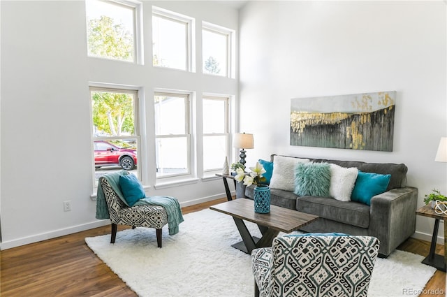 living room featuring a towering ceiling and wood-type flooring