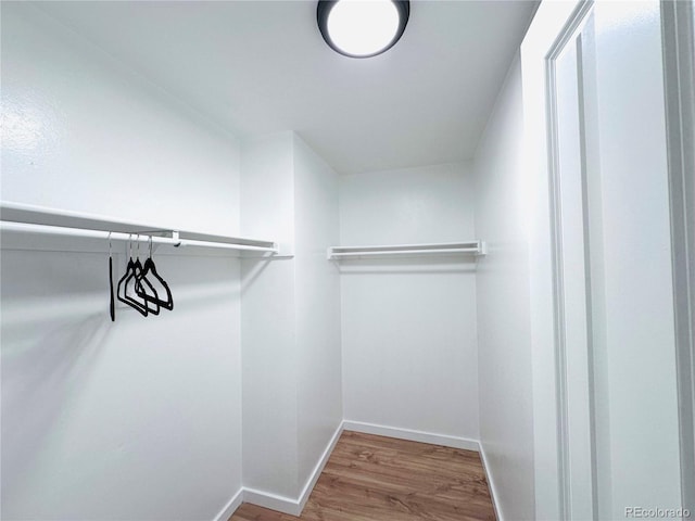 spacious closet featuring wood finished floors