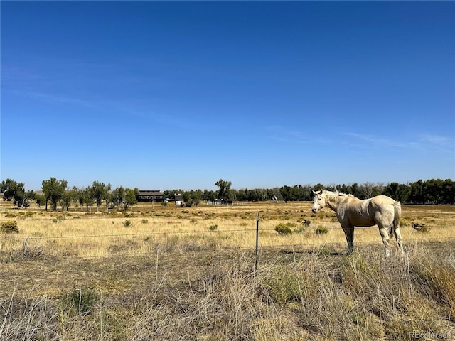 view of nature with a rural view