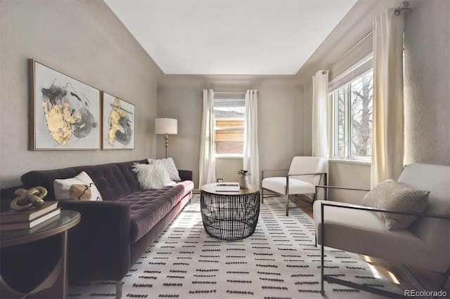 1610 Trenton St, Denver, CO 80220 - living area featuring plenty of natural light