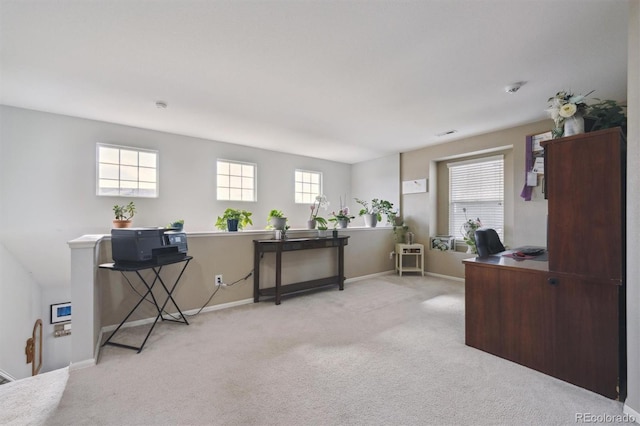 home office featuring carpet floors and baseboards