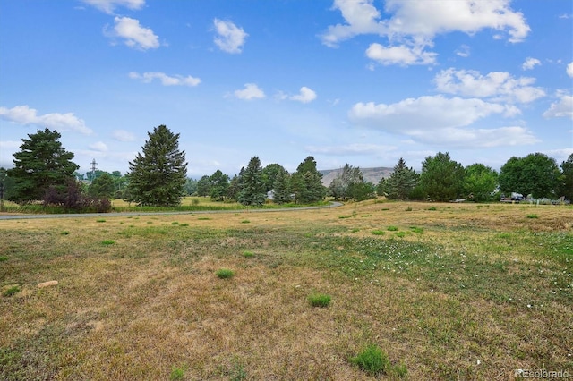 15020 W 58th Ave, Golden, CO 80403 - photo 29