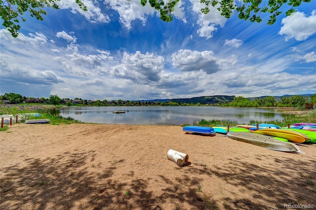 15020 W 58th Ave, Golden, CO 80403 - photo 33