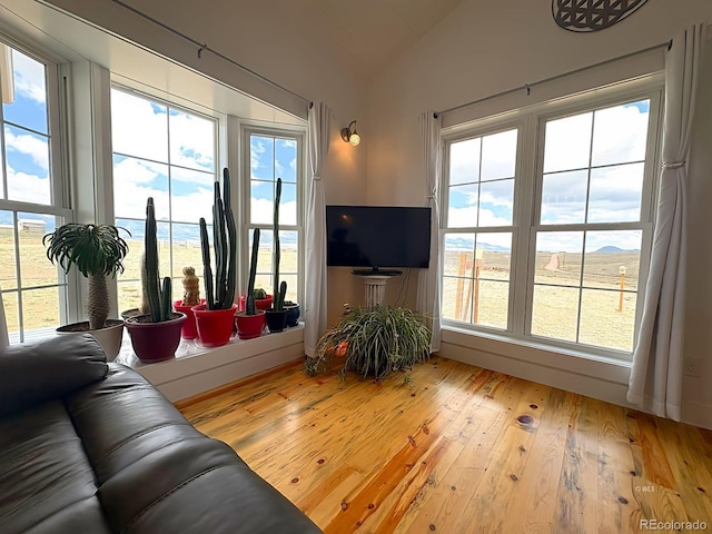 601 N Wood St, Silver Cliff, CO 81252 - living area with vaulted ceiling and light wood-style flooring