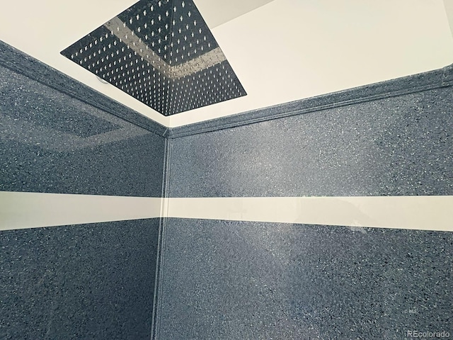 601 N Wood St, Silver Cliff, CO 81252 - bathroom view