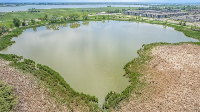 1711 Wildlife Pl, Longmont, CO 80504 - photo 7
