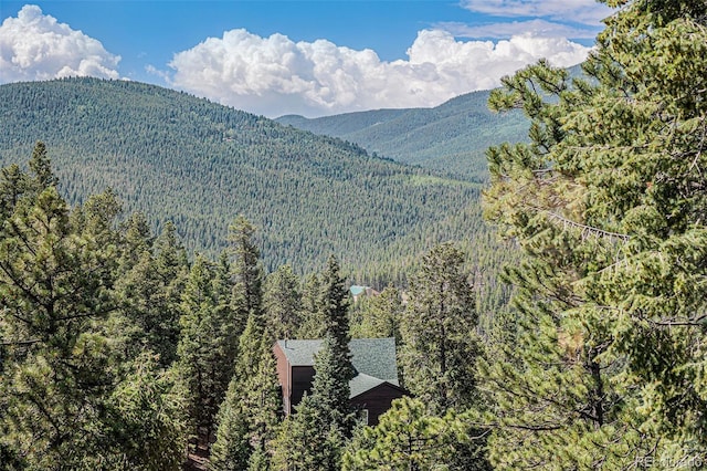 32783 Lodgepole Cir, Evergreen, CO 80439 - mountain view with a heavily wooded area