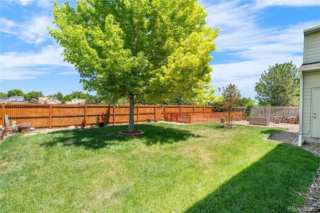17503 E Lasalle Dr, Aurora, CO 80013 - view of fenced backyard