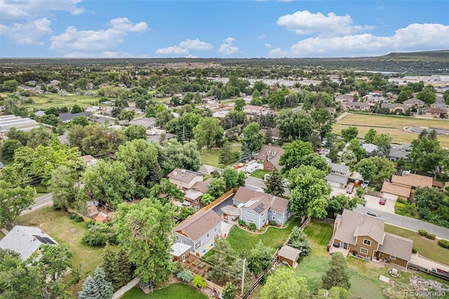 14887 W 49th Pl, Golden, CO 80403 - photo 43