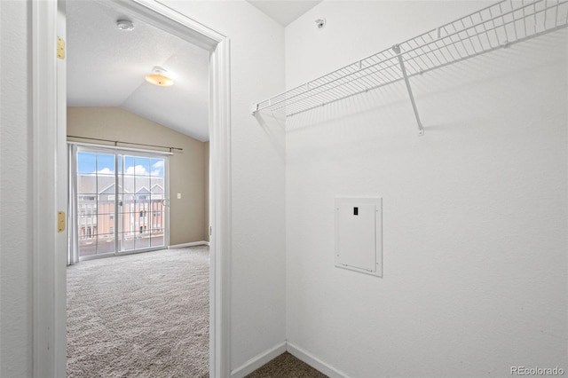 washroom with electric panel, baseboards, and carpet flooring