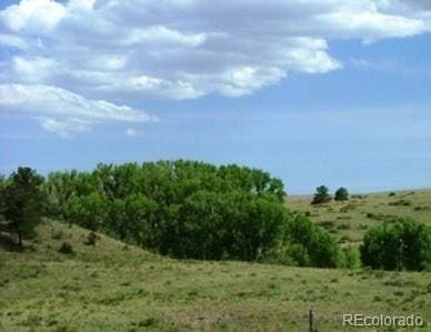 373 Deer Springs Cir, Westcliffe, CO 81252
