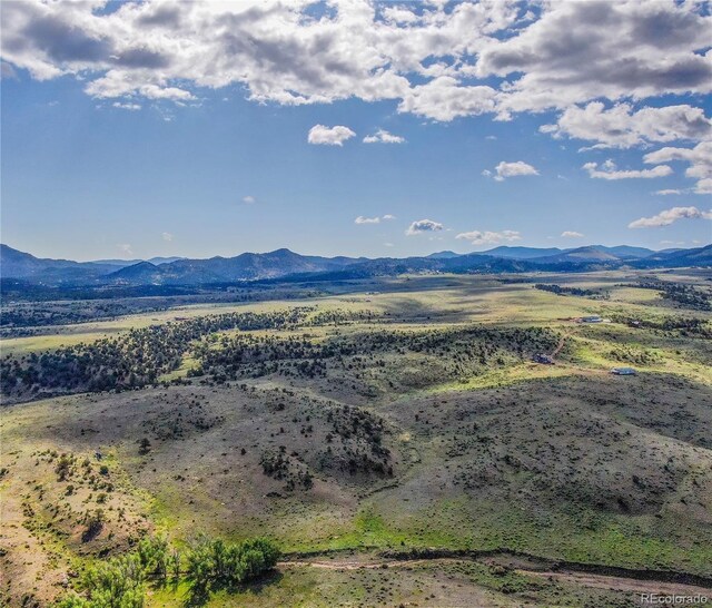 373 Deer Springs Cir, Westcliffe, CO 81252