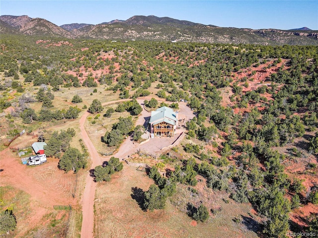 drone / aerial view with a mountain view