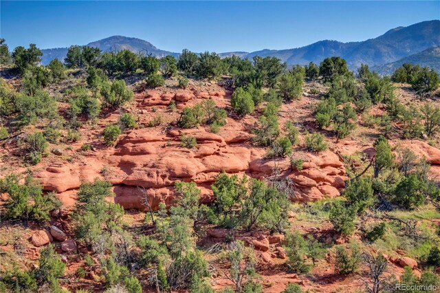 mountain view with a wooded view