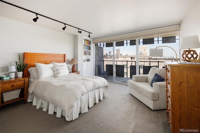 790 N Washington St Unit 1210, Denver, CO 80203 - bedroom with rail lighting, access to outside, and carpet flooring