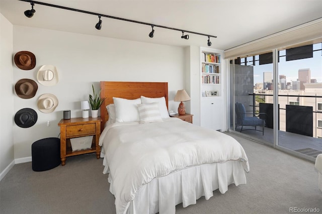 790 N Washington St Unit 1210, Denver, CO 80203 - carpeted bedroom with rail lighting, access to exterior, and a city view