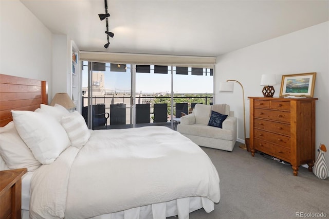790 N Washington St Unit 1210, Denver, CO 80203 - carpeted bedroom with access to outside, floor to ceiling windows, and rail lighting