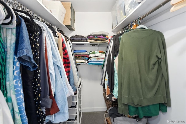 790 N Washington St Unit 1210, Denver, CO 80203 - spacious closet featuring carpet floors