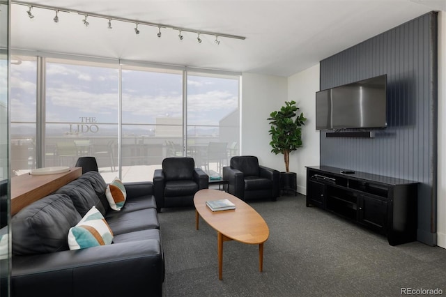 790 N Washington St Unit 1210, Denver, CO 80203 - carpeted living room with healthy amount of natural light, rail lighting, and floor to ceiling windows