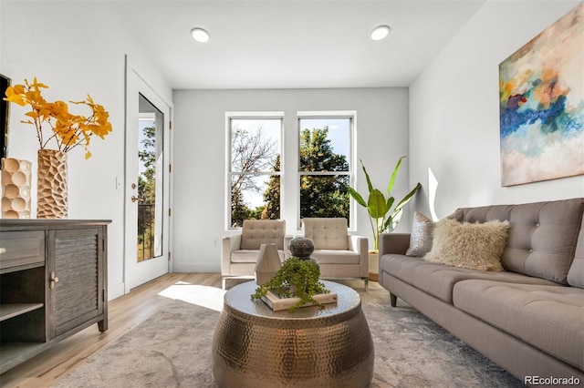 living room with light hardwood / wood-style flooring