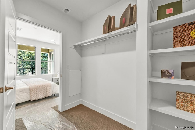 spacious closet featuring carpet floors