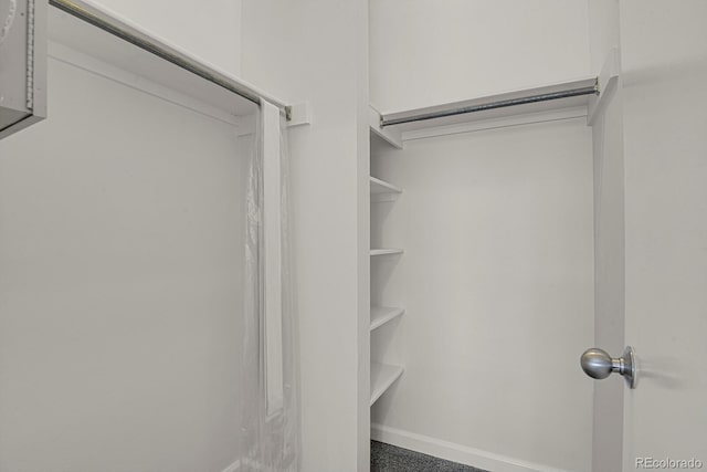 505 E 24th St Unit 204, Denver, CO 80205 - view of walk in closet
