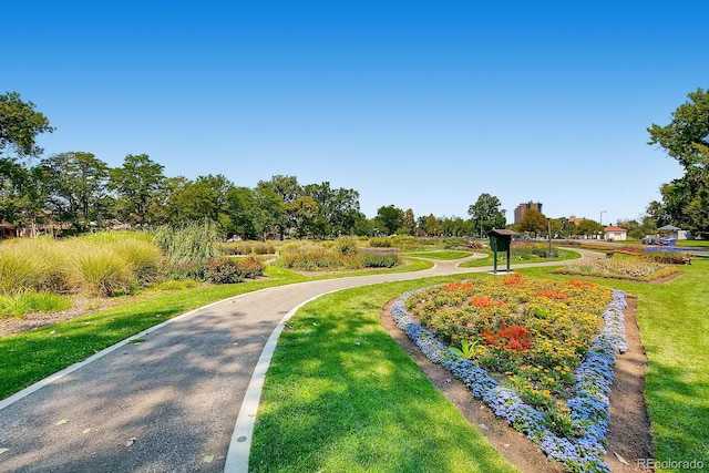 1520 S University Blvd, Denver, CO 80210 - photo 34