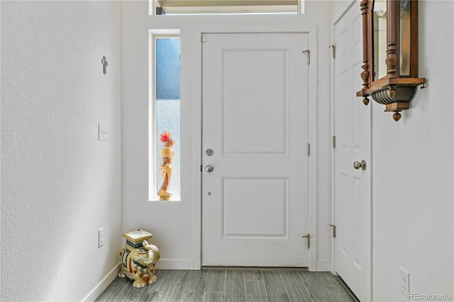 entryway featuring light wood-style floors, baseboards, and a wealth of natural light