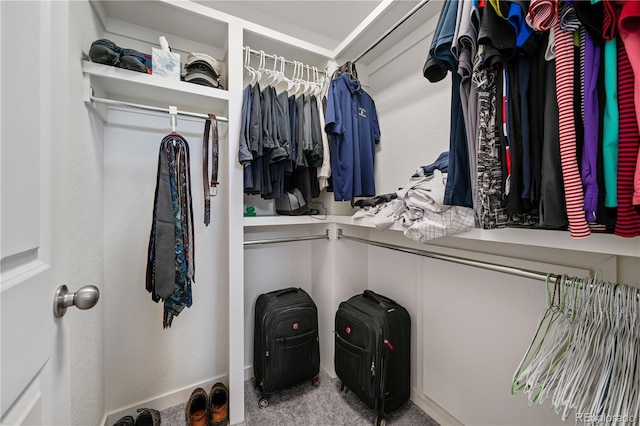 walk in closet with carpet floors