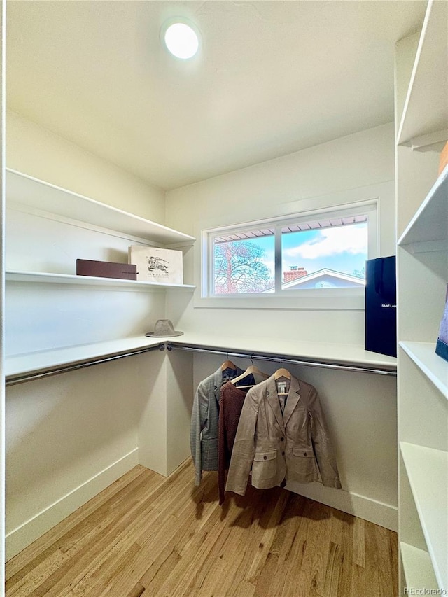 spacious closet featuring light wood-style flooring