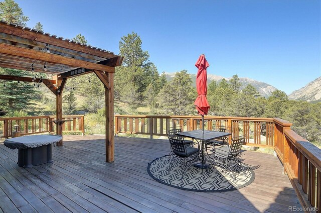 16050 Oppliger Dr, Nathrop, CO 81236 - photo 30