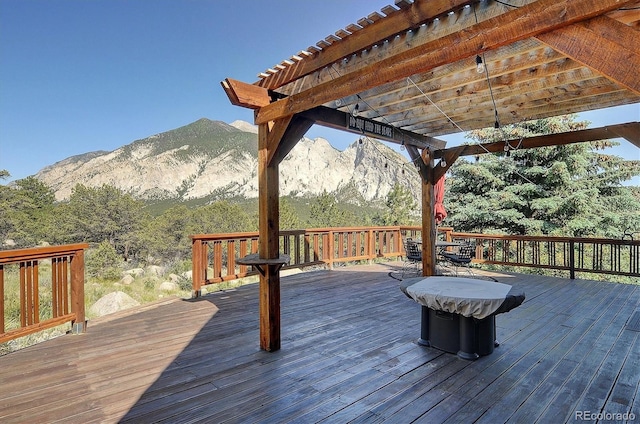 16050 Oppliger Dr, Nathrop, CO 81236 - photo 31