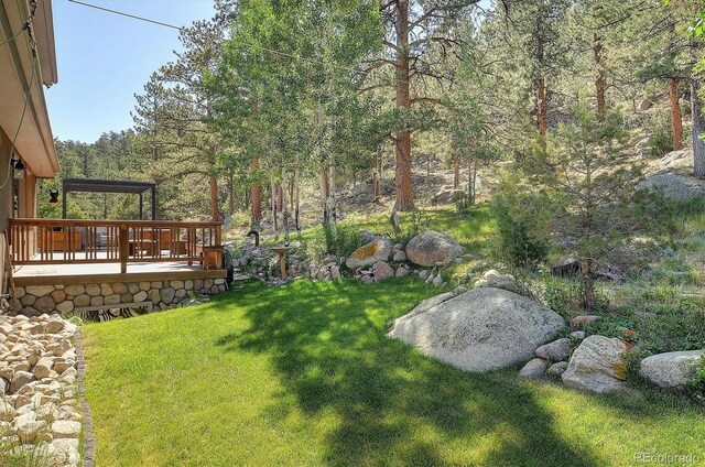 16050 Oppliger Dr, Nathrop, CO 81236 - photo 34