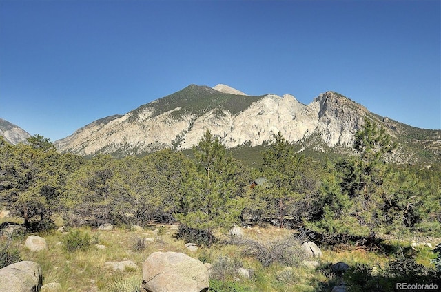 16050 Oppliger Dr, Nathrop, CO 81236 - photo 46